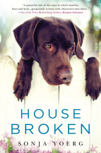 House+Broken+cover